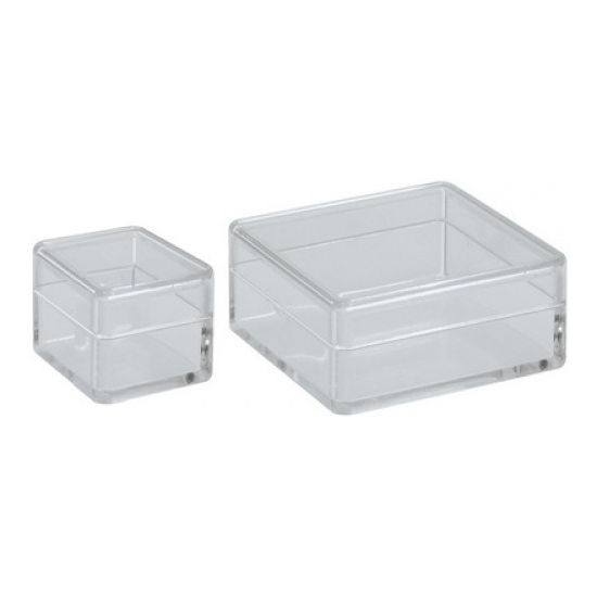 Plastic Boxes: Bergeon Transparent Plastic Box, 2975-2 - Bergeon