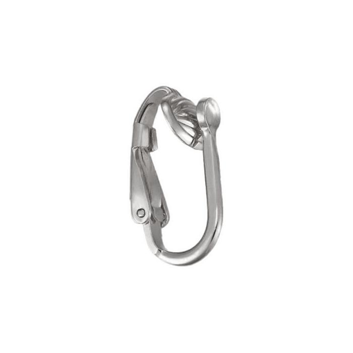 Ear Clips & Screws
