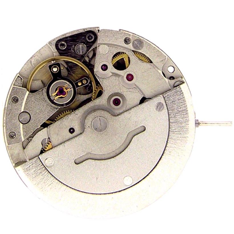 DG 2813 MVT BACK