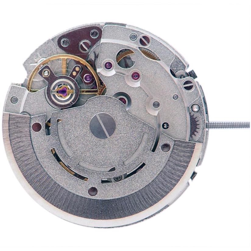 DG 3836 MVT BACK