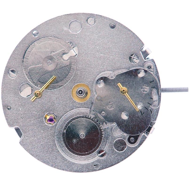 DG 3836 MVT BACK