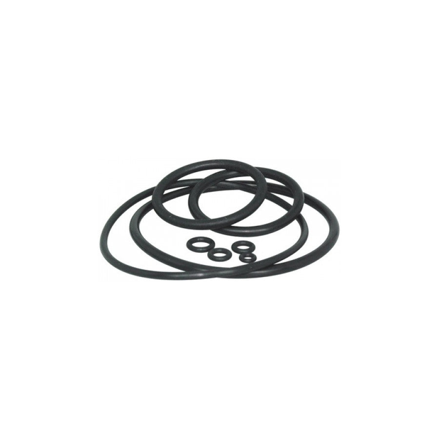 bergeon-5555-10-ass-8-gaskets-for-5555-10
