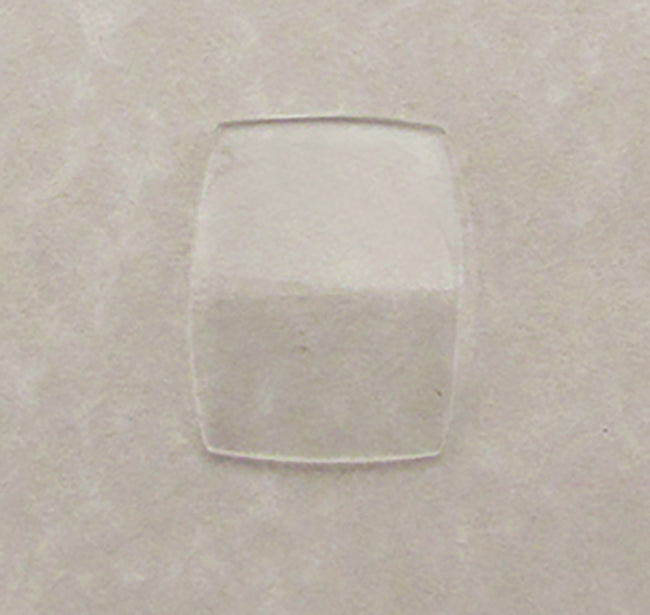 HAM-4