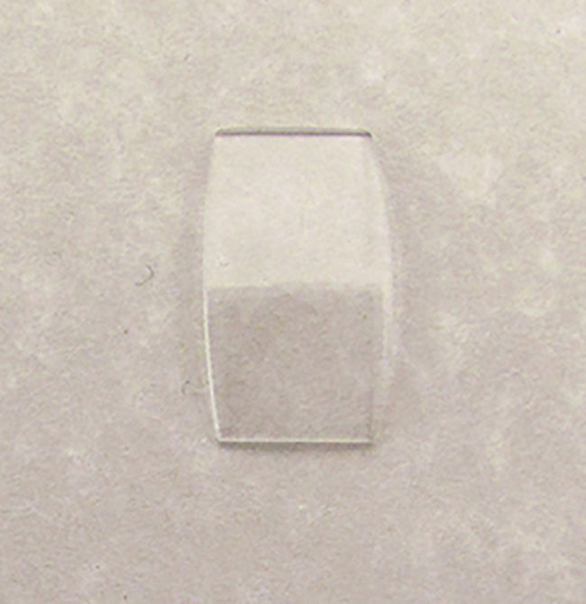 HAM-19