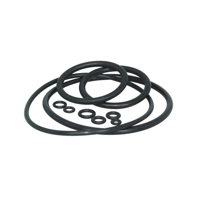 bergeon-5555-98-ass-o-rings-set-of-9