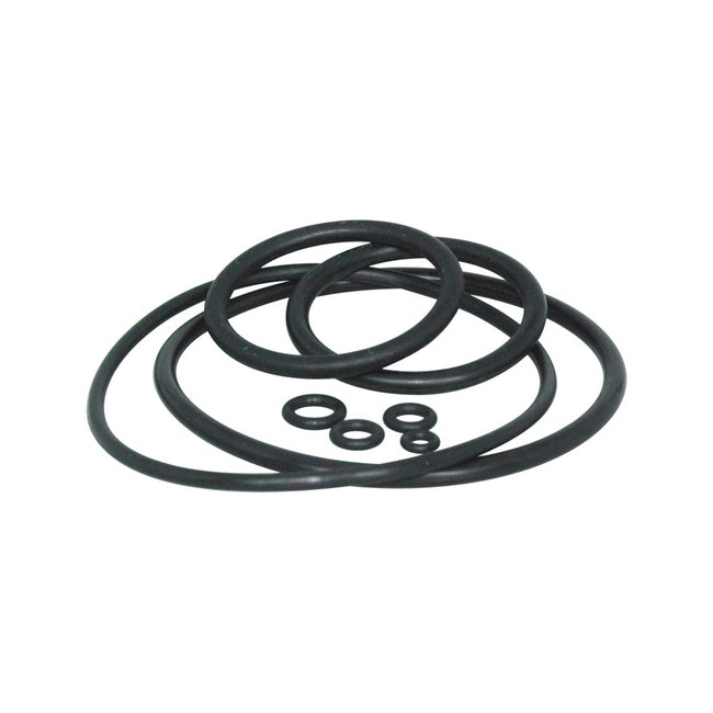 bergeon-5555-ass-o-rings-old-model-complete-set