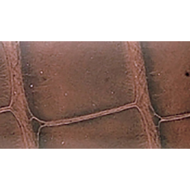 wbhq-wbhq754-22-genuine-matte-alligator-chestnut-22mm